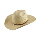 20* Straw Punk Carter Signature Cowboy Hat 5060